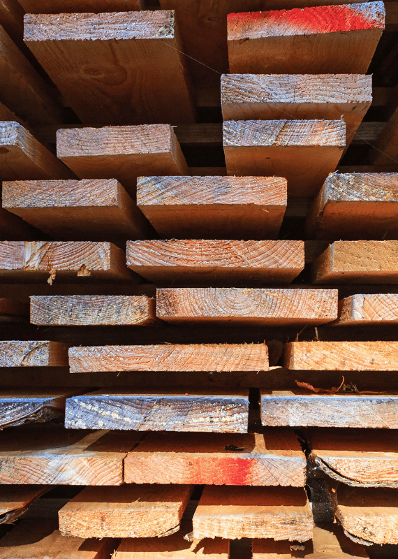 Bretter und Bohlen ARBIOR Wood