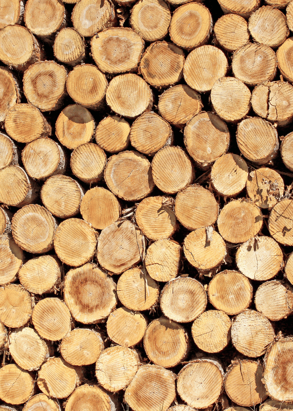 Lagerung Brennholz ARBIOR Wood