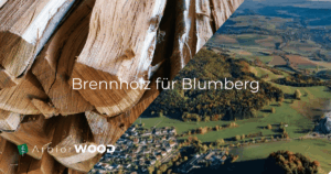 ARBIOR Wood 12 ARBIOR Wood - Brennholz Blumberg Schwarzwald – regional mit Lieferung